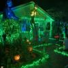 LAMPHOME Halloween String Lights, Extendable Green Christmas Lights Decoration 100 mini Lights 19.6ft UL Certified Mini Bulb St. Patrick's Day String Lights Set for Outdoor Christmas Tree Decor view 2