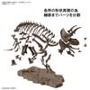 Bandai Hobby - Dinosaur - Triceratops, Bandai Spirits Imaginary Skeleton 1/32 Model Kit view 4