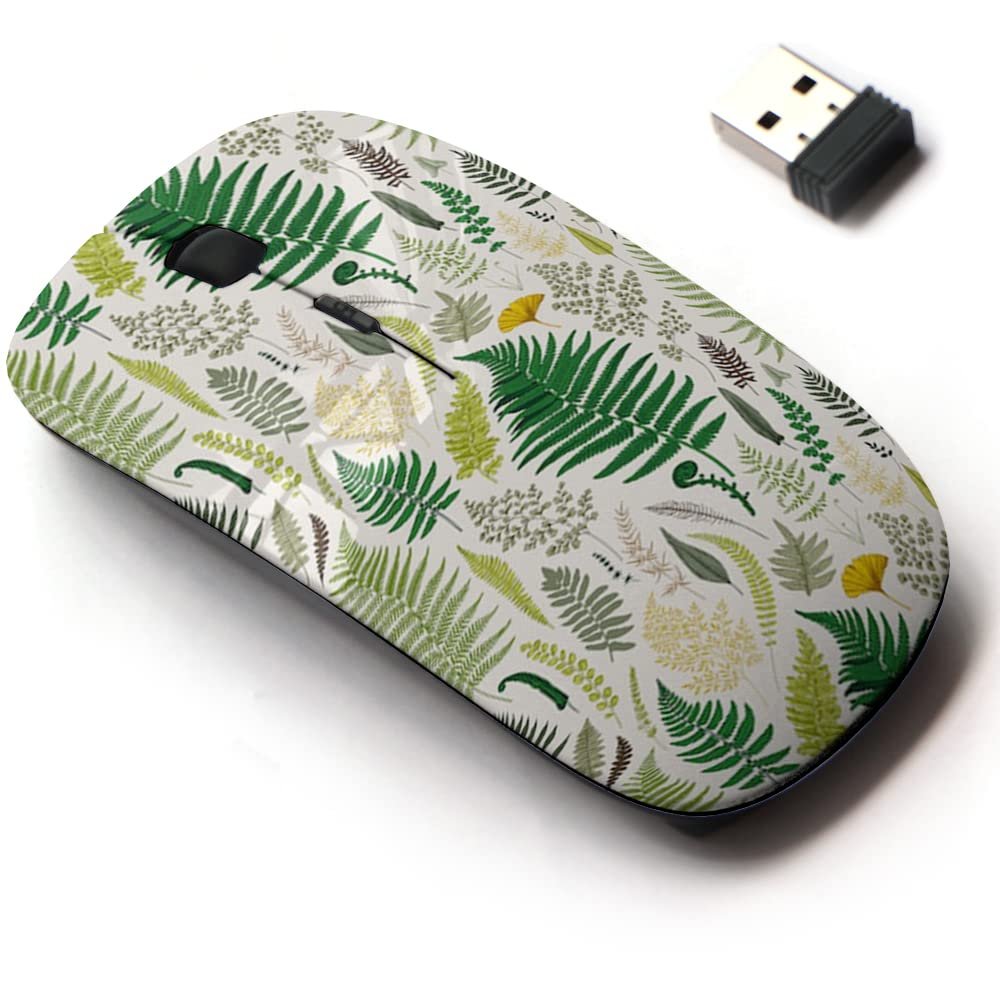 CJCBROES 2.4G Wireless Mouse with Cute Pattern Design for All Laptops and Desktops with Nano Receiver - Ferns Vintage