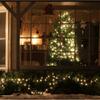 LAMPHOME 100 Count Clear Christmas String Lights, 19.6ft White Wire Fairy Lights, UL Certified Waterproof Indoor & Outdoor String Lights for Xmas Tree, Patio, Wedding, Mother's Day Decor view 3