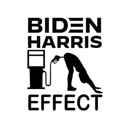 Biden Harris Effect Decal by Check Custom Design - Multiple Sizes and Colors
