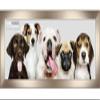 Poster Palooza 40x14 Contemporary Pewter Complete Wood Panoramic Frame with UV Acrylic Plexiglass, Foam Board Backing & Hardware Included view 3