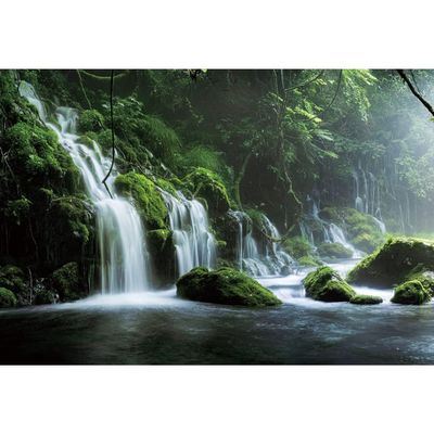 12x10ft Flowing Mountain Stream Backdrop Graceful Natural Scenery Spring Forest Photography Background Jungle Rainforest Landscape Birthday Party Events Children Adult Portrait Photo Studio Props