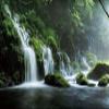 12x10ft Flowing Mountain Stream Backdrop Graceful Natural Scenery Spring Forest Photography Background Jungle Rainforest Landscape Birthday Party Events Children Adult Portrait Photo Studio Props view 4