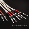 One Pair HiFi Silver-Plated Speaker Cable Hi-end 5N OCC Speaker Wire for Hi-fi Systems Y Plug Banana Plug Speaker Cable (Color : B-B, Length : 1m) view 2