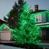 LAMPHOME St. Patrick's Day Mini String Lights,Green Christmas Lights 150Lights 31.9ft UL Certified Mini String Lights Set for Outdoor Christmas Tree Garden Party Patio Garland Decor view 4