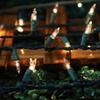 LAMPHOME Clear Christmas String Lights, 150 Count 31.9Ft Incandescent Mini Bulb Lights, Green Wire Waterproof Indoor Outdoor String Lights for Xmas Tree, Garland, Wedding, Party & Holiday Decor view 2