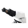 TYZK Microscope Kit 2M 3M 5M 8M 12M USB2.0 Digital Eyepiece Camera for Biological Stereo Microscope Microscope Lens Adapters (Color : SCMOS05000KPA 5.0M) view 3