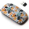 2.4G Wireless Mouse with Cute Pattern Design for All Laptops and Desktops with Nano Receiver - Autumn Watercolor Leaves Bird view 1