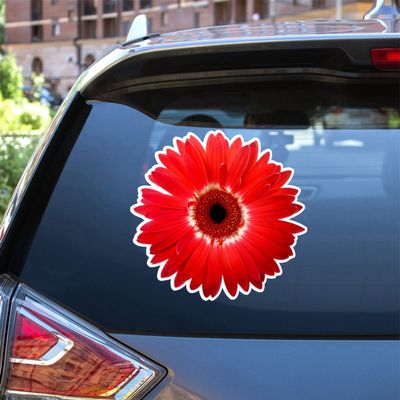 Daisy Flower Collection Daisies Floral Vinyl Decal Sticker for Car Boat Laptop Reflective Glossy Choose Size 032104 (8'' x 7.7" (20.3cm x 19.6cm), Reflective)