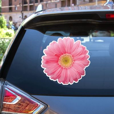 Daisy Flower Collection Daisies Floral Vinyl Decal Sticker for Car Boat Laptop Reflective Glossy Choose Size 032102 (12'' x 11.7" (30.5cm x 29.7cm), Glossy)