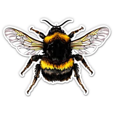 Bumblebee Colorful - 8" Vinyl Sticker - for Car Laptop I-Pad - Waterproof Decal