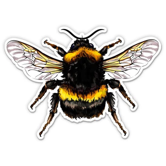 Bumblebee Colorful - 8" Vinyl Sticker - for Car Laptop I-Pad - Waterproof Decal