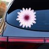 Daisy Flower Collection Daisies Vinyl Decal Sticker for Car Boat Laptop Reflective Glossy Choose Size 032204 (20'' x 20" (50.8cm x 50.8cm), Glossy) view 1