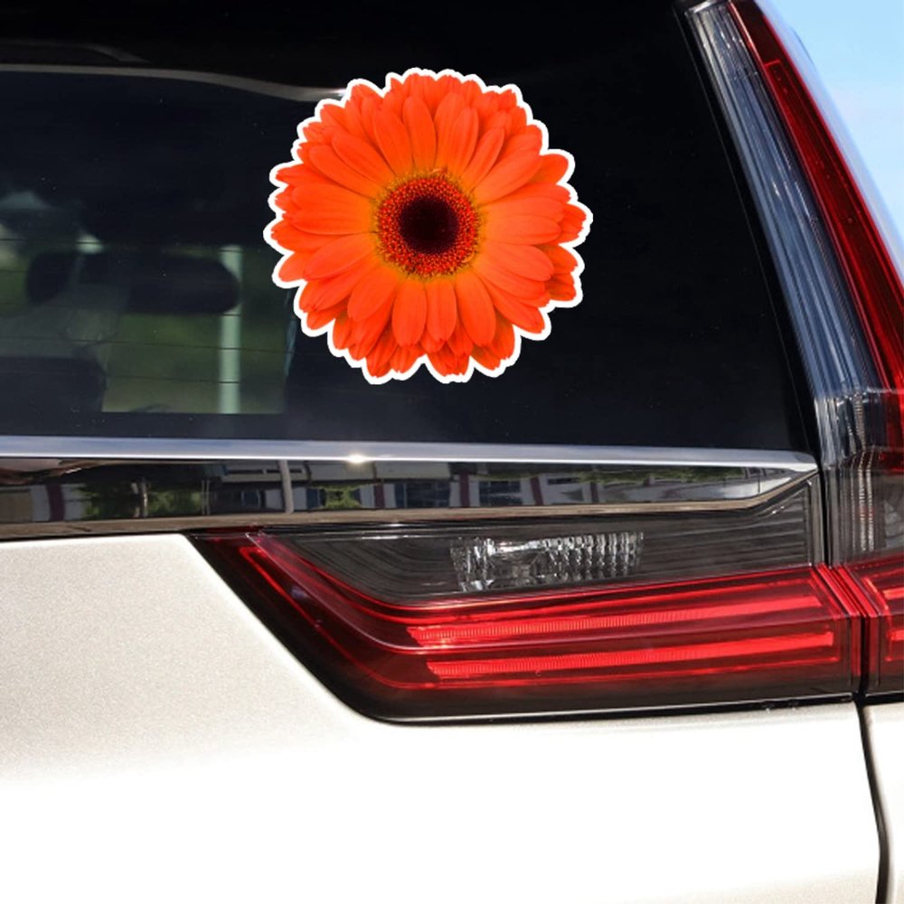 Daisy Flower Collection Daisies Floral Vinyl Decal Sticker for Car Boat Laptop Reflective Glossy Choose Size 032201 (14'' x 13.9" (35.6cm x 35.2cm), Glossy)