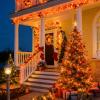 LAMPHOME Orange Thanksgiving Mini Lights, 31.9FT 150-Count Autumn Fall String Lights,Connectable 120V Plug in for Outdoor Indoor Garden Party Halloween Christmas Xmas Tree Lights Yellow Decor view 4