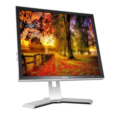 Dell P2210F Computer Desktop Tower LCD 22 Inch Monitor, VGA, DVI Ports, 5ms Response time, 1680 x 1050 Resolution, 170 /160 Viewing Angle (Renewed)