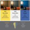 SYLVANIA F15 Dcor Incandescent Light Bulb, 25W, Amber Iridescent Finish, Medium Base, 120V, 2 piece per pack (Pack of 2) view 3