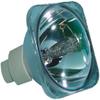 5811100876-S Replacement Projector Bare Lamp for VIVITEK D-837 / D837 / D-832MX / D832 / D-835 / D835 view 1