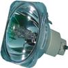 5811100876-S Replacement Projector Bare Lamp for VIVITEK D-837 / D837 / D-832MX / D832 / D-835 / D835 view 2