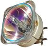 5811120589-S Replacement Projector Lamp Bulb for VIVITEK DX831 DW832 DH833 view 1
