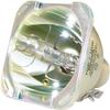 003-120504-01 Replacement Projector Bare Lamp for Christie DH D700 / DS +750 view 1