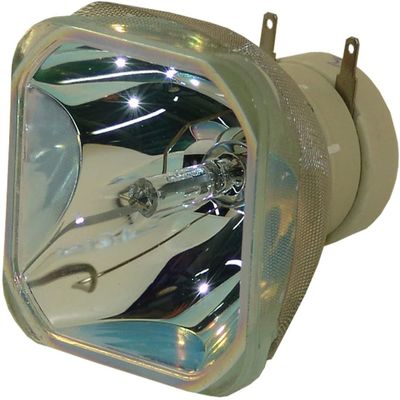 DT01191 Replacement Bare Lamp for Hitachi CP-X2521WN CP-X3021WN CP-X2021 CP-X2021WN CP-X2521 CP-X3021WN CPX2021WN Projector