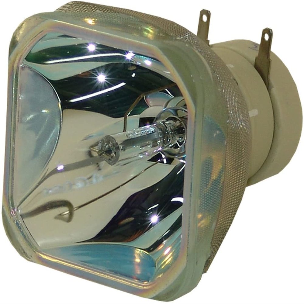DT01191 Replacement Bare Lamp for Hitachi CP-X2521WN CP-X3021WN CP-X2021 CP-X2021WN CP-X2521 CP-X3021WN CPX2021WN Projector