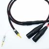 2.5mm Trrs to 2 Dual XLR Male Cable Balanced Audio for Astell&Kern AK100II, AK120II, AK240, AK380, AK320, DP-X1A, FIIO X5III XDP-300R iBasso DX200, KANN etc SP1000M SP2000 SR15 SE100 KANN CUBE (10ft)