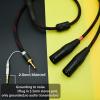 2.5mm Trrs to 2 Dual XLR Male Cable Balanced Audio for Astell&Kern AK100II, AK120II, AK240, AK380, AK320, DP-X1A, FIIO X5III XDP-300R iBasso DX200, KANN etc SP1000M SP2000 SR15 SE100 KANN CUBE (16ft) view 2