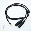 2.5mm Trrs to 2 Dual XLR Male Cable Balanced Audio for Astell&Kern AK100II, AK120II, AK240, AK380, AK320, DP-X1A, FIIO X5III XDP-300R iBasso DX200, KANN etc SP1000M SP2000 SR15 SE100 KANN CUBE (16ft) view 3