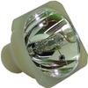 400-0402-00 Replacement Projector Bare Lamp for PROJECTIONDESIGN F22 SX+ F22 1080 F22 WUXGA AVIELO Quantum view 1