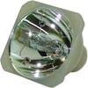 400-0402-00 Replacement Projector Bare Lamp for PROJECTIONDESIGN F22 SX+ F22 1080 F22 WUXGA AVIELO Quantum view 2