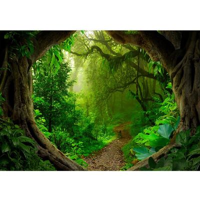 10x6.5ft Green Forest Backdrop Spring Jungle Rainforest Natural Scenery Photography Background for Kids Evergreen Forest Baby Shower Birthday Party Decor Banner Children Portrait Photo Booth Props