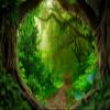 10x6.5ft Green Forest Backdrop Spring Jungle Rainforest Natural Scenery Photography Background for Kids Evergreen Forest Baby Shower Birthday Party Decor Banner Children Portrait Photo Booth Props view 4