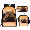 Howilath Pug Dog Cute Pattern 17 Inch School Backpack for Boys Kids Bookbag Set Schoolbag with Lunch Box Pencil Case Laptop Daypack view 1