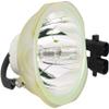 60.J8618.CG1 Replacement Projector Bare Lamp for BENQ PB6100 / PB6105 / PB6200 / PB6205 view 2