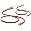UCINNOVATE 2 Pack High-end Pure Copper HiFi OFC Speaker Wire Cable with Banana Plug, 2m Gold-Plated Banana Tip Plugs Male to Male 600 Strand 14 AWG for Audio Speaker HiFi System Home Theater (6.56FT) view 2