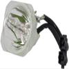 BL-FS200A/SP.80V01.001 Replacement Projector Lamp Bare Bulb for OPTOMA EP1691/EP7155/EP732/EP732B/EP732H/EP738P/EP739/EP739H/EP739X/EP745 view 1
