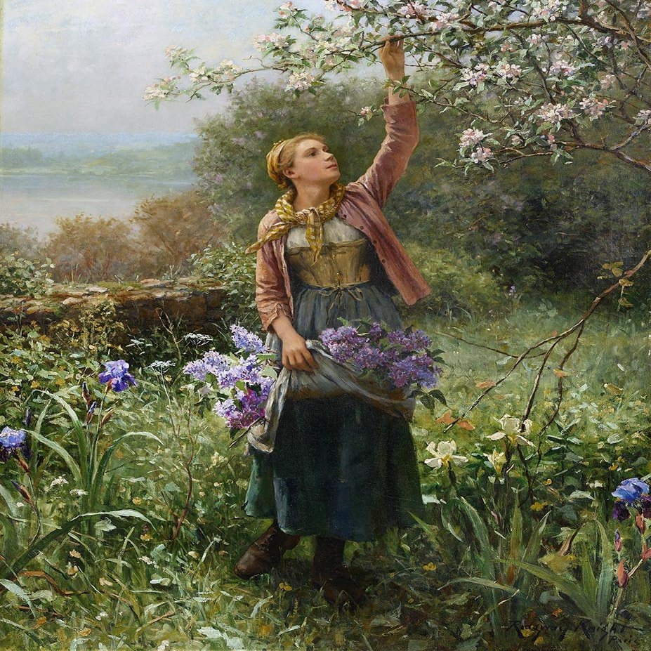 Daniel Ridgway Knight : Picking Blossoms : Archival Quality Art Print