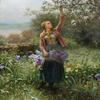 Daniel Ridgway Knight : Picking Blossoms : Archival Quality Art Print view 1