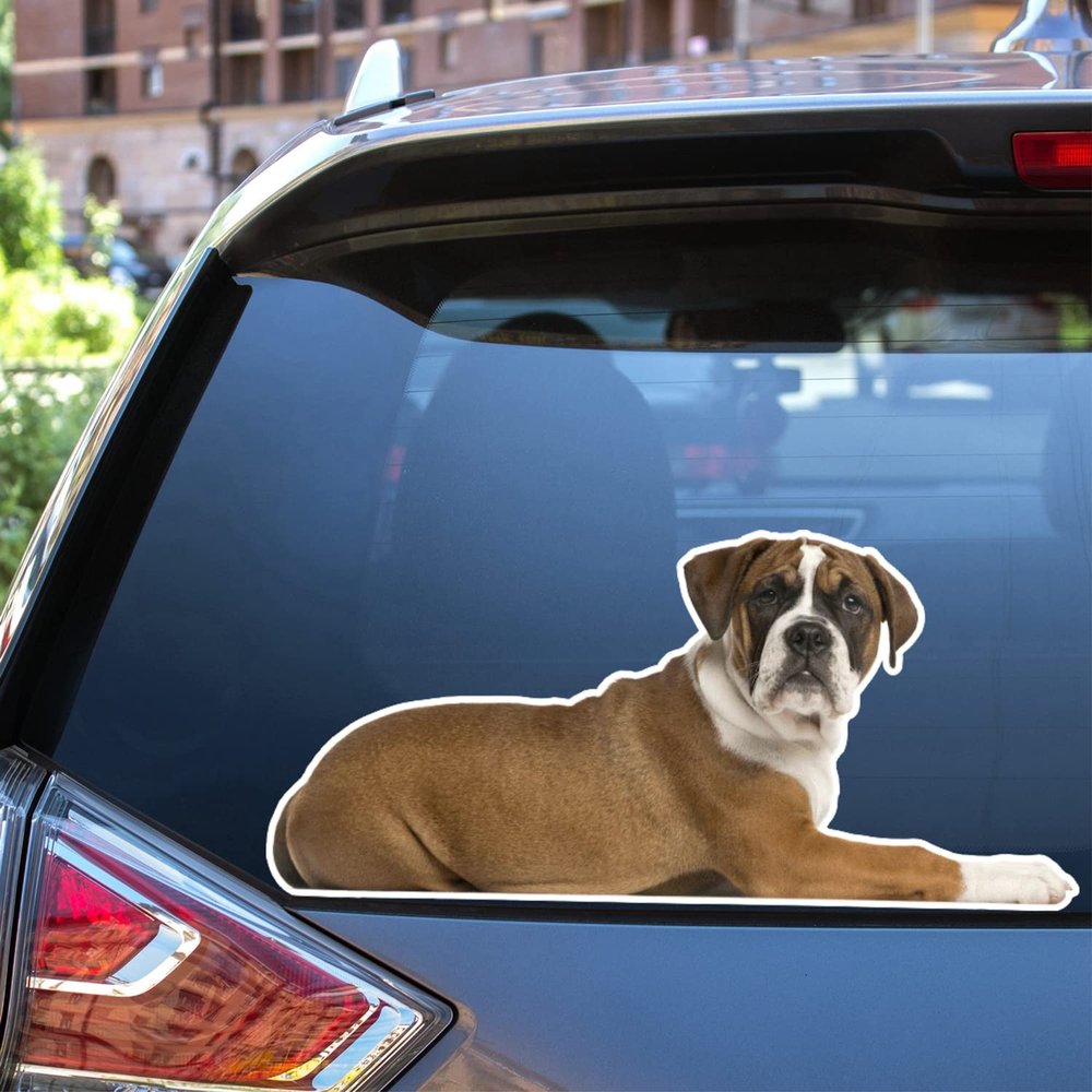 Boxer Dog Lying Down Vinyl Decal Sticker Photo White Background for Car Boat Laptop Reflective Glossy Choose Size (24'' x 11.1" (61cm x 28.2cm), Reflective)