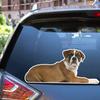 Boxer Dog Lying Down Vinyl Decal Sticker Photo White Background for Car Boat Laptop Reflective Glossy Choose Size (24'' x 11.1" (61cm x 28.2cm), Reflective) view 1