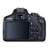 Canon EOS 2000D (Rebel T7) DSLR Camera w/EF-S 18-55mm F/3.5-5.6 Zoom Lens + 128GB Memory + Case + Tripod + Filters (36pc Bundle) (Renewed) view 4