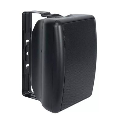 in/Out Speaker 100W BLK