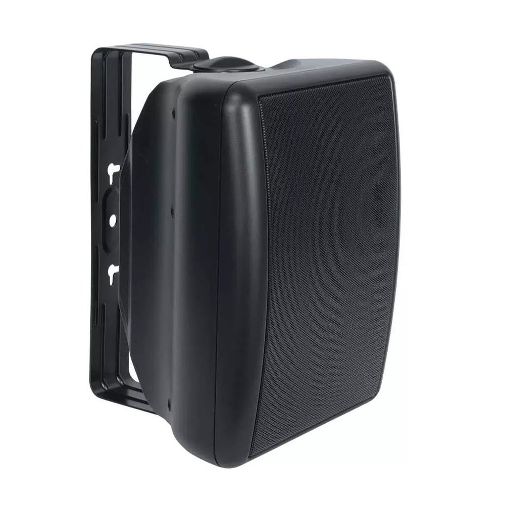 in/Out Speaker 100W BLK