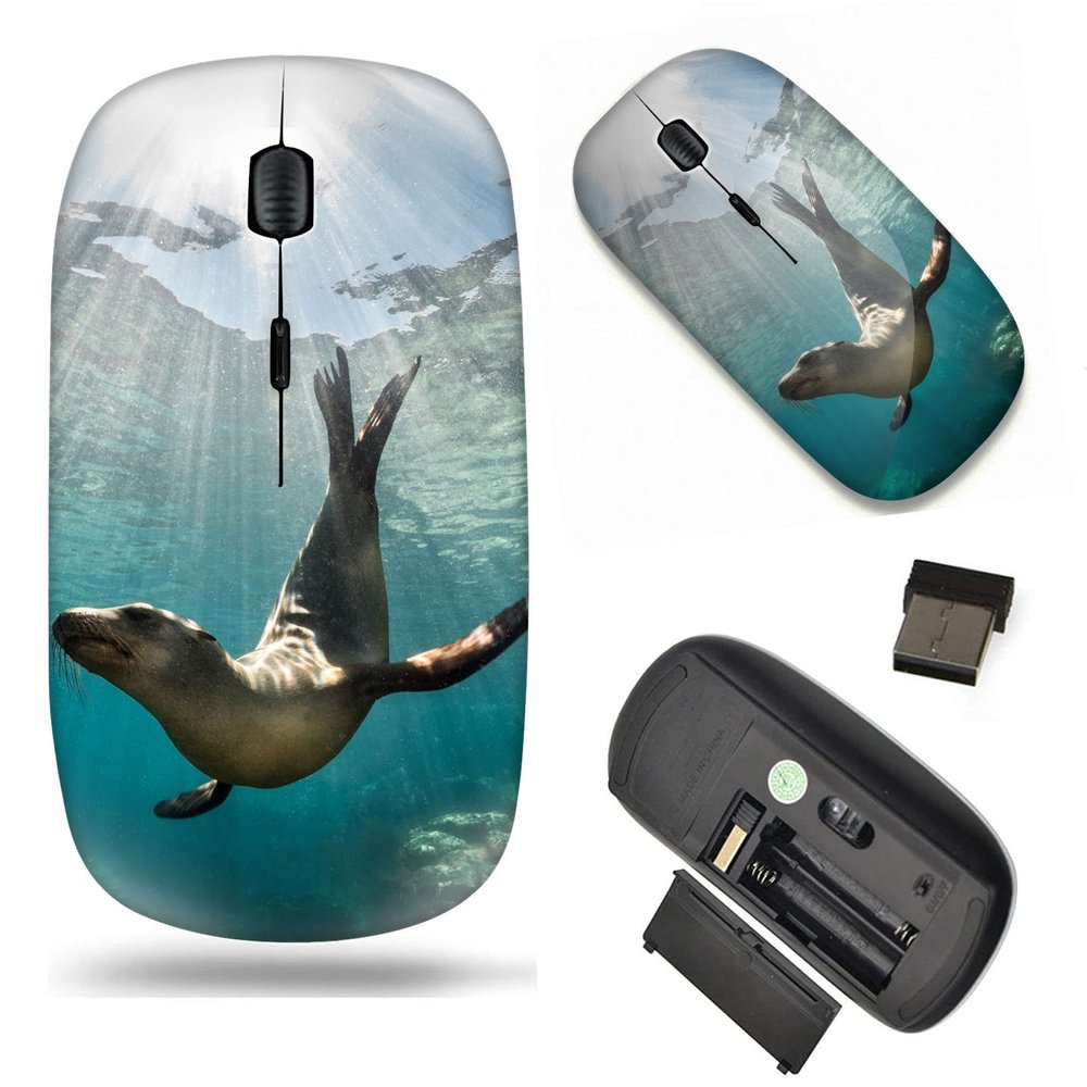 2.4G Slim Wireless Mouse with Nano Receiver , Portable Mobile Optical Mice for Notebook, PC, Laptop, Computer, MacBook - Underwater Sea Lion