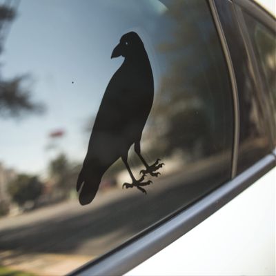 Darknalia | Crow Decal/Crow Sticker/Raven Decal/Raven Sticker/Car Decal/Laptop Decal/Laptop Sticker/Car Sticker/Emo Decal/Goth Decal | V1 (6 inch)