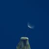 Where to Be Tamari / First Press Limited Edition view 1