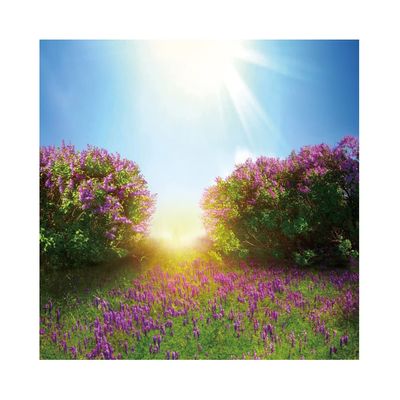 10x12FT Spring Scenery Floral Photo Backdrop Outdoor Garden Flowers Lavender Blossoms Purple Florets Park Trees Natural Landscape Kid Baby Photo Booth Shoot Vinyl Studio Props